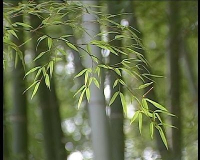 说话，笑，笑和开心。祝您夏天快乐！