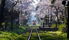 形容开心的幽默的句子说说心情