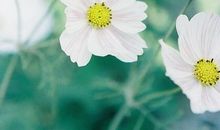 亲情哲理句子说说心情