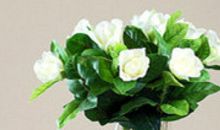 亲情如仇人的句子