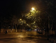 10.孩子们对父母的爱是如此的本能，尽管他们感到失望和厌恶，但他们却用自己的全身细胞爱着他们。