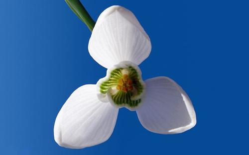 11.校园充满了欢声笑语。学生们互相追逐和嬉戏，有些在爬杆，有些是跳远，有些在打羽毛球。只有女学生敏捷地跳了橡皮筋。哼着歌。