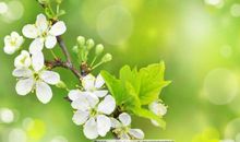 名人对于亲情的句子