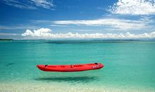 希望女生天天开心的句子