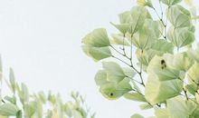 搜集有关描写亲情的诗或精彩的句子