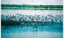 描写环境优美的句子