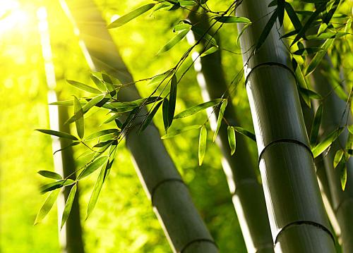 12.环境越舒适，逆境越容忍，最紧迫的事情越慢，最重要的事情就越顺利。