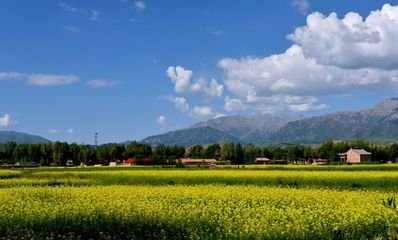 10.在国庆节，我希望你像手电筒一样明亮的眼睛，像火炉一样心动，像油箱一样结实的身体，像厨房一样度过七天的欢乐而又欢乐的国庆假期，感觉酸甜幸福就像甜甜的柿子生活。