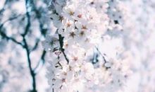 形容亲情不在的句子说说心情