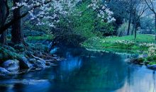 形容父母亲情的句子