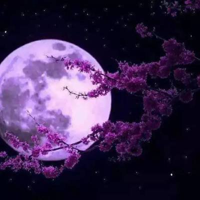 中秋节给朋友的问候1