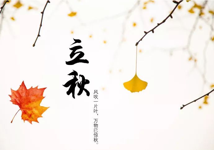 泰戈尔的经典美学句子