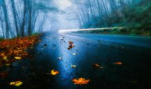 表示亲情和幸福的句子