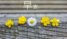 怎么发早安问候短信