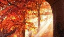 关于拼搏坚强亲情的句子