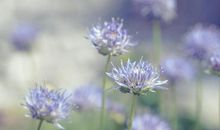 形容大海开心的句子有哪些