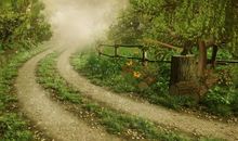 亲情伤透心的句子说说心情