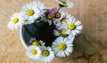 好久没开心过了的句子