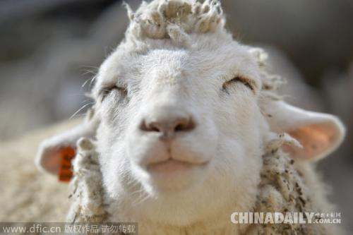 10.看到母亲的笑脸和腿上blowing痒的感觉，我似乎没有疼痛感。我知道正是母亲的爱让我感到温暖。