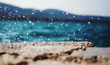 关于亲情神态动作句子