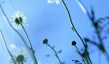 时光和亲情的句子