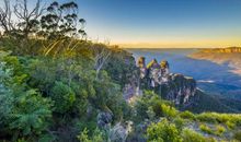 用血脉亲情选写句子