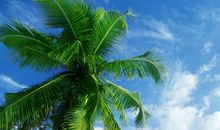 说说被亲情伤了的句子大全