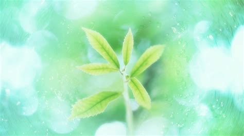 11.喜欢是一种感觉，一种放松的感觉，喜欢一种淡淡的爱，也喜欢柔和的友谊，更喜欢一种强烈的爱。