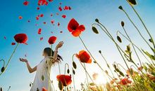 所谓亲情不过如此句子