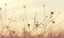 敞开心扉接受一切的句子