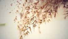 对任何事任何人失望透顶的句子