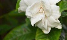 最能体现亲情的句子