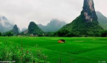 关于美的座右铭