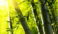 但愿人开心快乐的句子