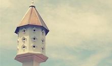 心情不好的说说第十期