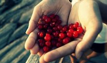 亲情形容人感到温暖的句子