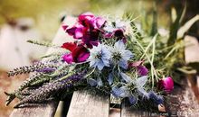 影评亲情的万能句子