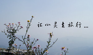 不要后悔你错过了什么
