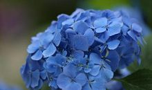 愿男朋友天天开心的句子