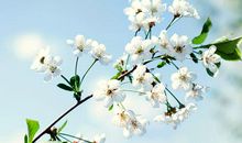 亲情领悟的句子说说心情