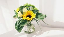 形容搞怪开心句子说说心情