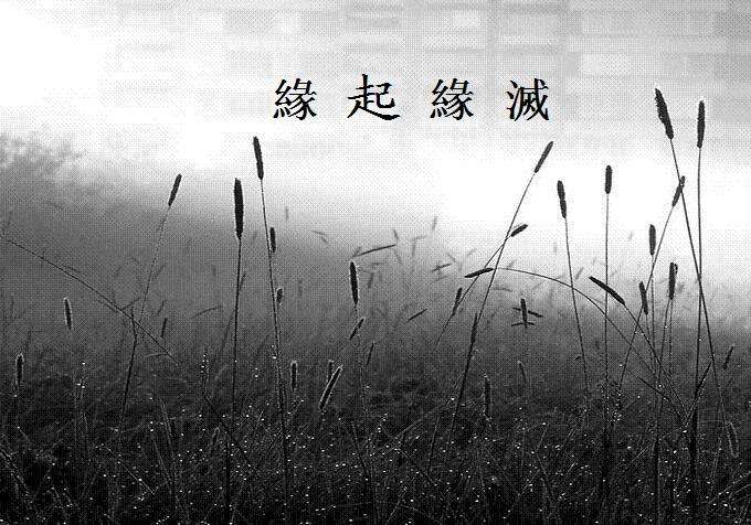 “没有泪的情人：我们爱整个人……