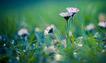 亲情真心感动的句子说说心情