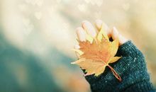 很有内涵的亲情的句子