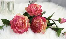 形容阳光开心的句子