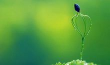 为了要钱把亲情都抹灭的句子