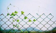 形容钱比亲情重要的句子