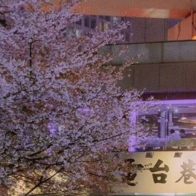 12.家庭情感一直无时无刻不在我们身边，有时我们会因为我们的顽皮和好玩而忘记它的存在。但是，那一刻，我意识到：亲情是如此重要。