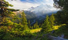 亲情类精彩优美的句子