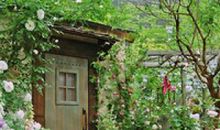 关于描写亲情表现的句子